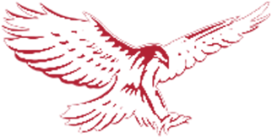 Eagle Bolt Supply Logo Color Overlay